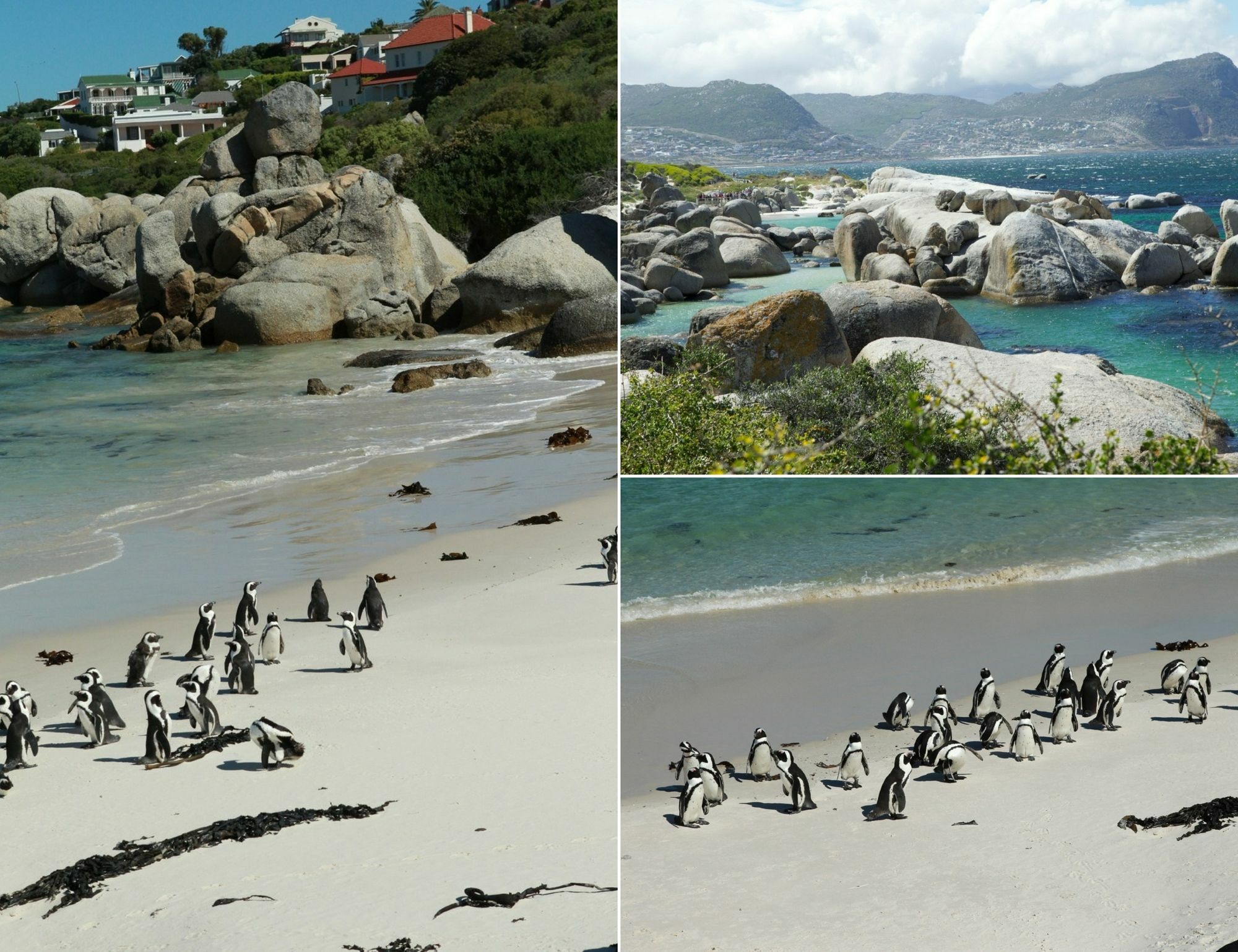 Mariner Guesthouse & Villa Simonʼs Town Exteriör bild